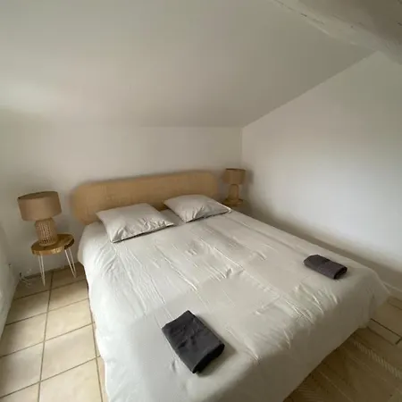 Duplex De Charme Avec Terrasses Apartament
